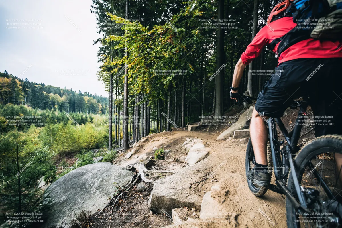 A mountain biker rides a rugged trail weaving through a dense forest, with rocks and trees framing the path. The image is vibrant and lively, capturing the excitement of summer exploration and outdoor recreation.