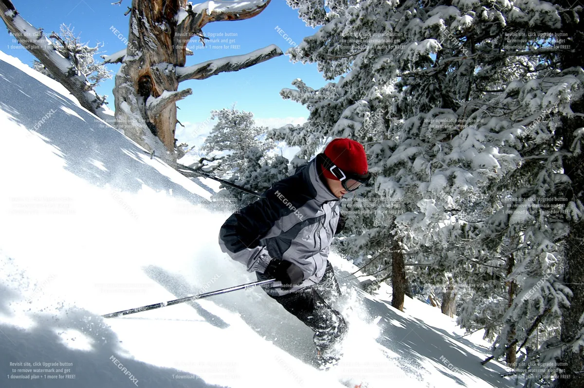 A skier carves down a powdery slope lined with snow-laden trees, set against a vivid blue sky. The scene is dynamic and full of motion, evoking the thrill of downhill skiing and the allure of mountain exploration.